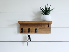 a potted plant on top of a wooden shelf with keys hanging from it's hooks