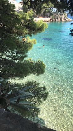 people are swimming in the clear blue water near some pine trees and beachfronts