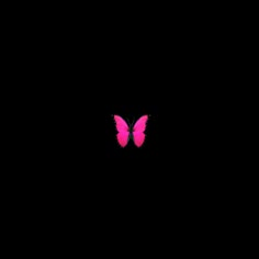 a pink butterfly flying in the sky