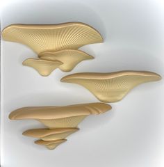 three golden mushrooms on a white wall in the shape of an abstract structure with wavy ridges