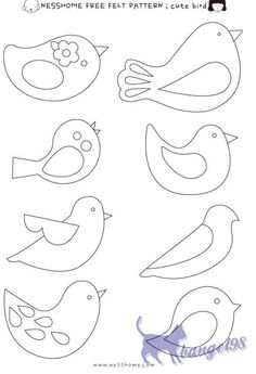 four birds with different shapes and sizes