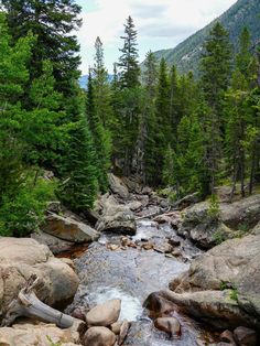 a river running through a forest filled with lots of rocks and pine tree's