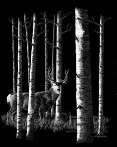 a black and white drawing of a deer in the woods at night with tall trees