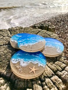 three blue plates sitting on top of a tree stump near the ocean with starfish