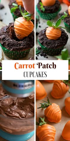 carrot patch cupcakes with chocolate frosting on top