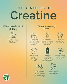 Think creatine is just for bulking up? Think again! 💪 #SmartCreatine+ does so much more: it helps maintain lean muscle mass, boosts brain health, supports bone density, increases energy, accelerates recovery, and more.  #forestsuperfood #healthtips #Fitness #Health #Wellness #SupplementSmart Creatine Supplement, Creatine Benefits, Healthy Food Chart, Supplements For Men, Brain Health Supplements, Sup Yoga, Increase Energy, Health And Fitness Articles, Lean Muscle Mass