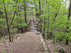 a person standing on a bridge in the woods