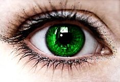 Eye Color Facts, Lily Potter, Dark Ages, Pretty Eyes, Eye Art