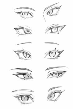 the different types of eyes drawn in pencil