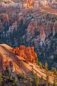 the sun shines on hoodoo and other rock formations in the distance, as seen from above