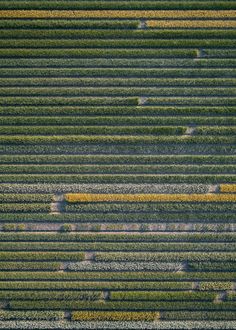 an aerial view of a field with yellow and green crops