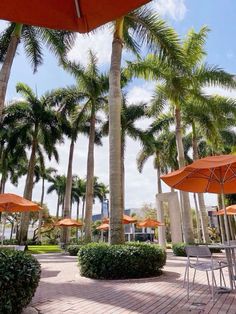 tables and chairs under orange umbrellas on a brick patio with palm trees in the background