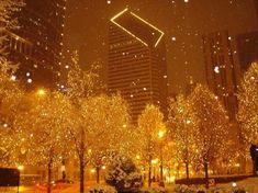 a city street covered in snow with trees and buildings lit up at night as the lights shine brightly