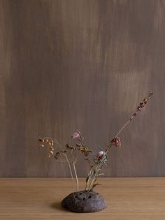 a rock with flowers growing out of it on a table next to a wooden wall