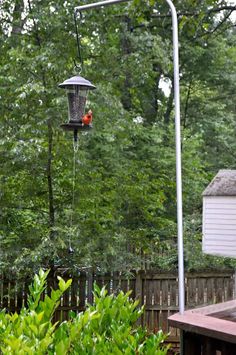 a bird feeder pole for under $ 5