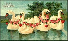 three swans with roses on their necks are in the water and one is holding a heart