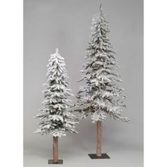 two small trees are standing next to each other in front of a gray background with snow on them