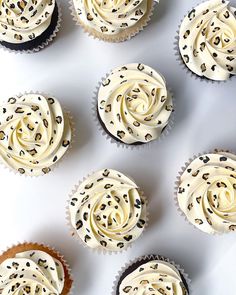 six cupcakes with white frosting and chocolate sprinkles