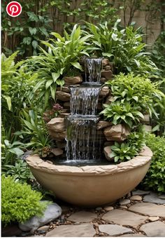 a water fountain surrounded by plants and rocks