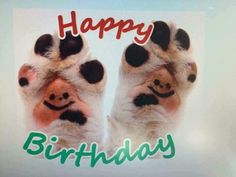 a happy birthday card with two dogs'paws