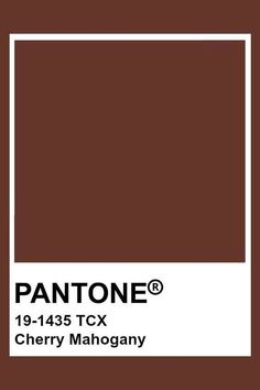 the pantone color is brown and has white trim on it, with an open rectangle