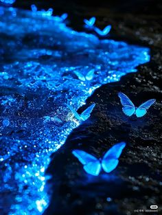 some blue butterflies are flying in the air near water and rocks with bubbles on them