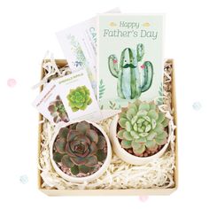 two succulents are sitting in a box with congratulations cards