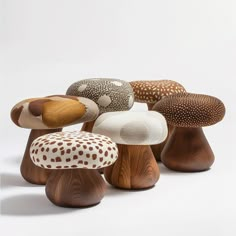 several different types of mushrooms sitting on top of each other