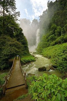 a wooden bridge over a river surrounded by lush green trees