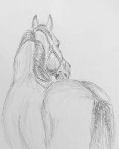 Graphite Sketches, Horse Drawing Tutorial, Horse Pencil Drawing, Horses Artwork, Horse Art Drawing, Nicole Smith, Horse Sketch, Animal Drawings Sketches, Horse Artwork