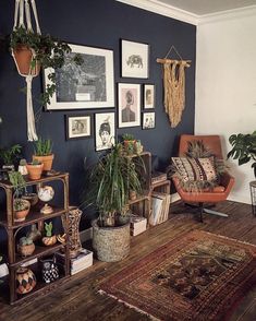 a living room filled with lots of plants and pictures on the wall next to a couch