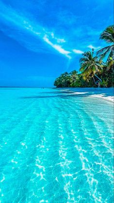 an ocean view with palm trees and clear blue water in the foreground, under a partly cloudy sky