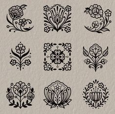 the different types of flowers and leaves are drawn in black ink on white parchment paper