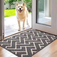 a dog is standing in the door way