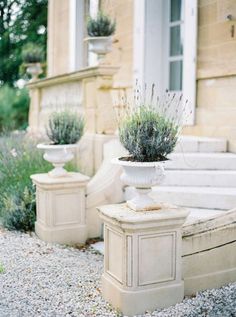 two white planters sitting on the side of a stone building with lavender in them