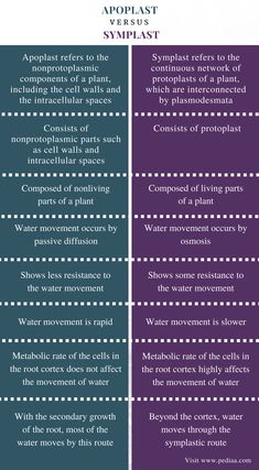 two different types of water and landforms are shown in the same diagram, one is labeled