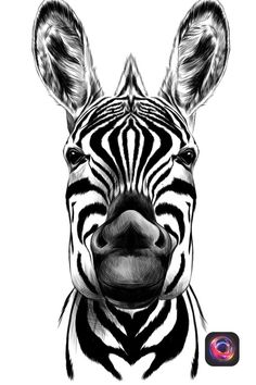 a black and white drawing of a zebra's face