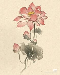 a drawing of a pink flower with leaves