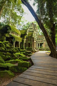 the walkway is surrounded by green mossy rocks and stone structures, with trees in the background