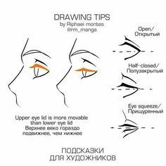 drawing tips for beginners to learn how to draw the eyes and eyebrows with this step - by - step guide