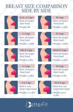 Breast Sizes Chart, Moda Academia, Bra Size Charts, Fashion Hacks Clothes