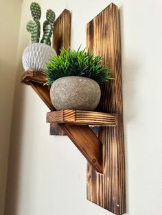 two succulents and a potted plant are sitting on a wooden shelf