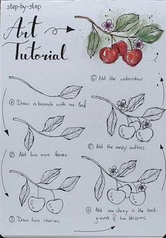 the instructions for how to draw cherries