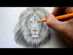 a drawing of a lion with a pencil in it's left hand and the image is drawn on paper