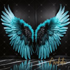 two blue and black wings on a black background