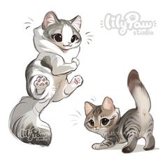 two kittens are playing with each other on the white background and one cat is jumping up