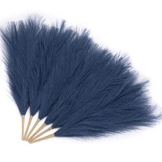 several blue feathers are arranged on a white surface, with one feather pointed up to the side