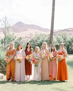 a group of women standing next to each other in front of a palm tree and mountains