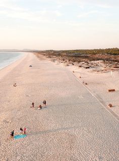 several people are on the beach and one is flying a kite