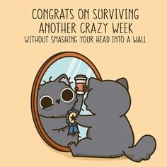 a cat looking at its own reflection in a mirror with the caption, congrats on surviving another crazy week without smashing your head into a wall